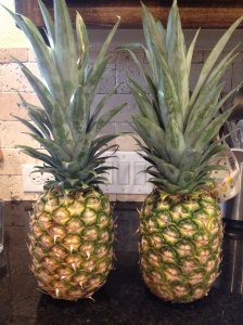 The Experiment: Pineapples