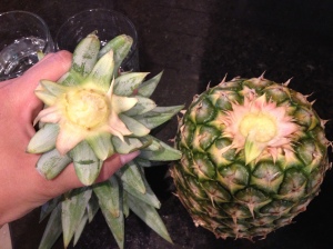 Twist the Top of the Pineapple right off