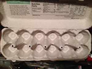 You can use this typical cardboard Dozen Egg Carton for your Fire Starters