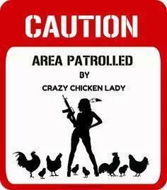Crazy Chicken Lady Indeed!
