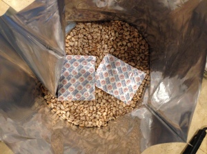 2-2000 cc Oxygen Absorbers in a 5 Gallon Bucket of Pinto Beans