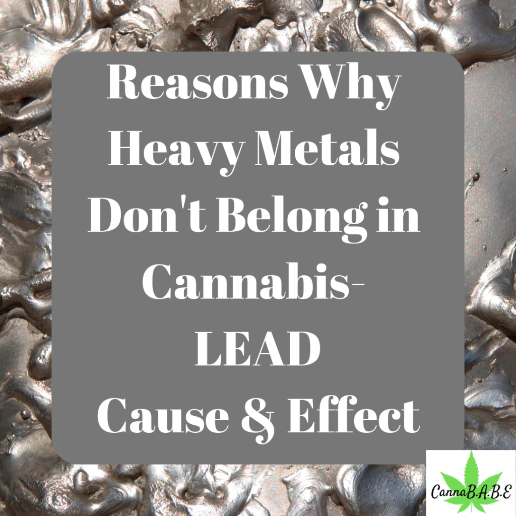 Reasons Why Heavy Metals Don’t Belong in Cannabis- LEAD Cause & Effect