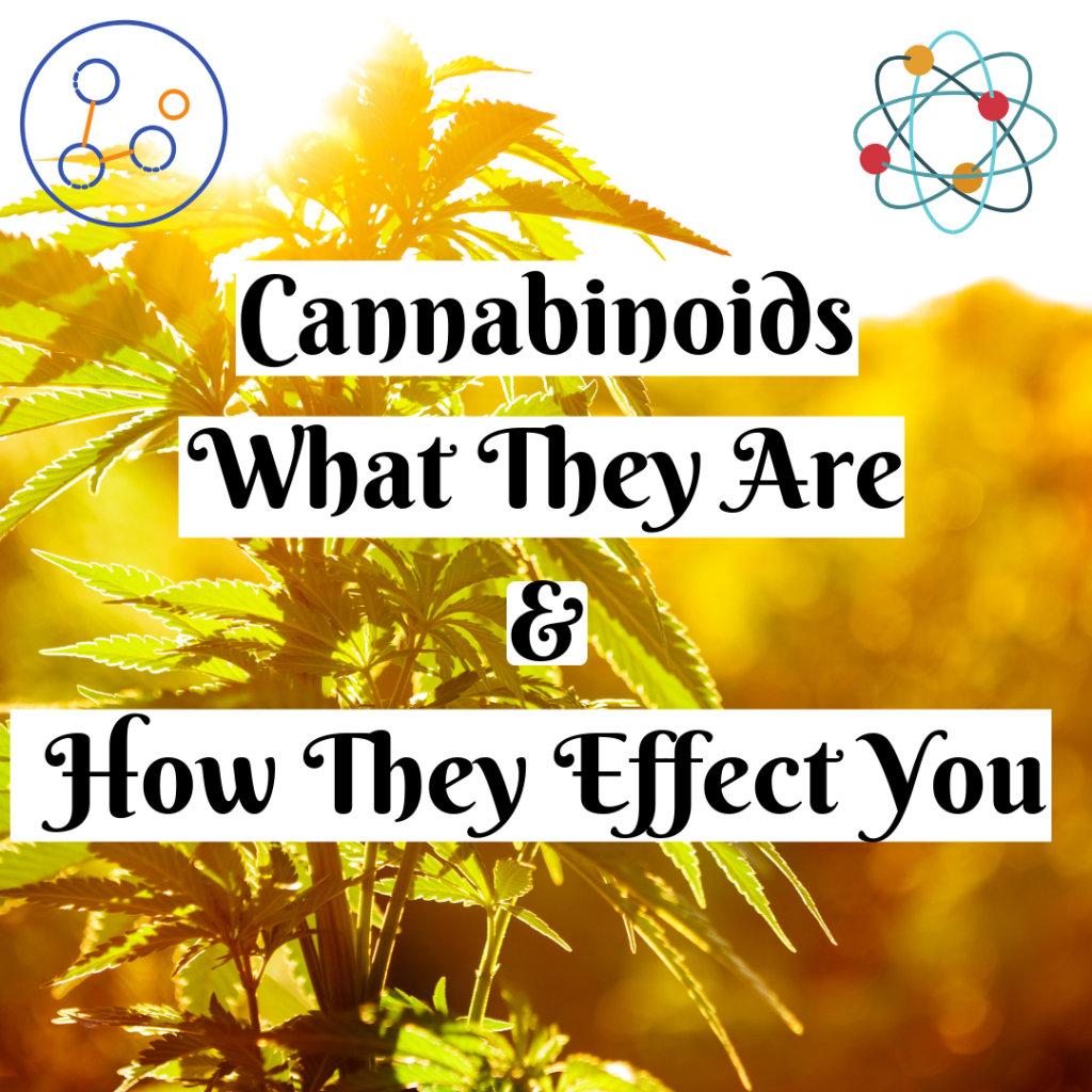 Cannabinoids- What They Are and How They Effect You