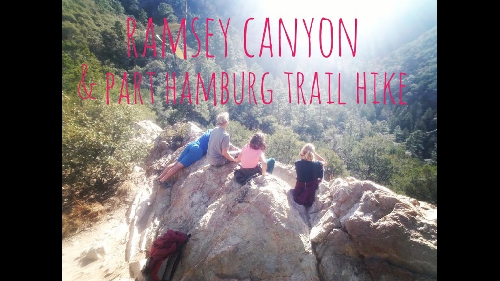 Family Hike: Ramsey Canyon & Part Hamburg Trail-Sierra Vista, AZ